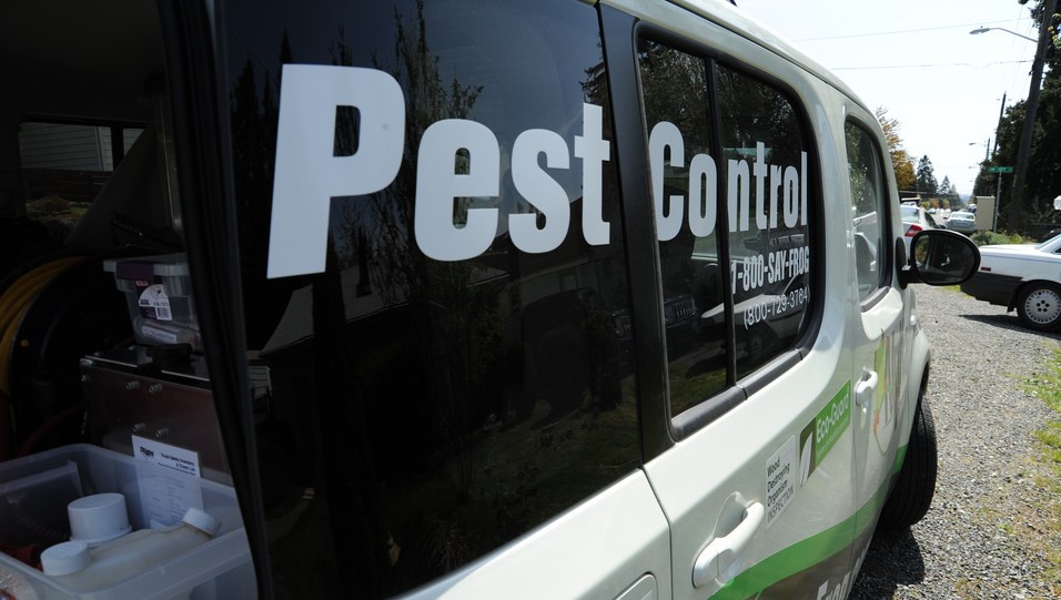 How to find a good pest control company